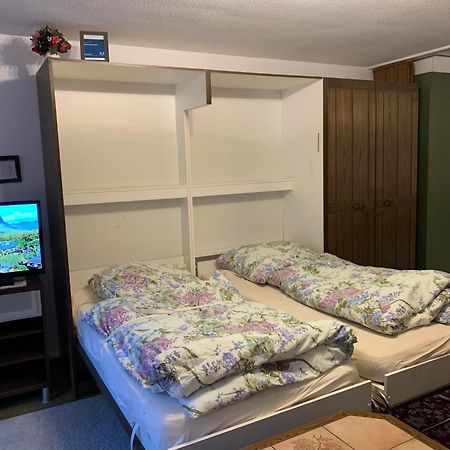 Hilburgs-Domizil Lejlighed Zermatt Eksteriør billede